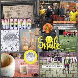 2015_week46a700w.jpg
