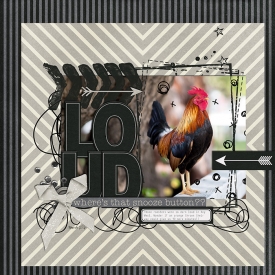35_2016_loudrooster700w.jpg