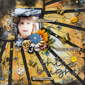 Be-the-Sunshine1.jpg