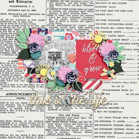 CG-ayi_itsspring4web.jpg