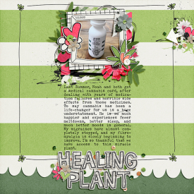 Healing-Plant.jpg