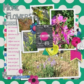 More_Flowers_Thursday_SSD_2.jpg