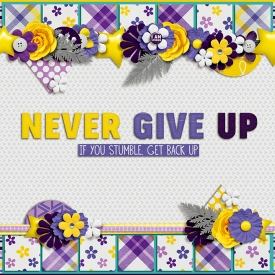 Never-Give-Up5.jpg
