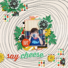 Say-Cheese15.jpg