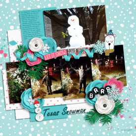 Texas-snowmanweb.jpg