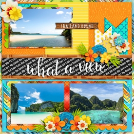 What-A-View1.jpg