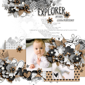 ayimmullens-anewadventure-LEA.jpg