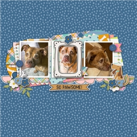 doggone_awesome.jpg