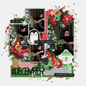 merrydecemberF700.jpg