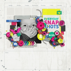 snapshotsF700.jpg