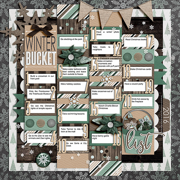 winterbucketcschneider-single147-copy