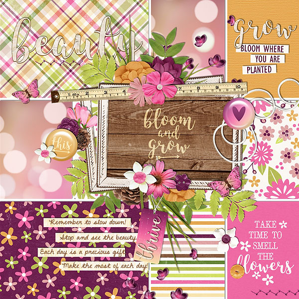 Bloom_and_Grow3