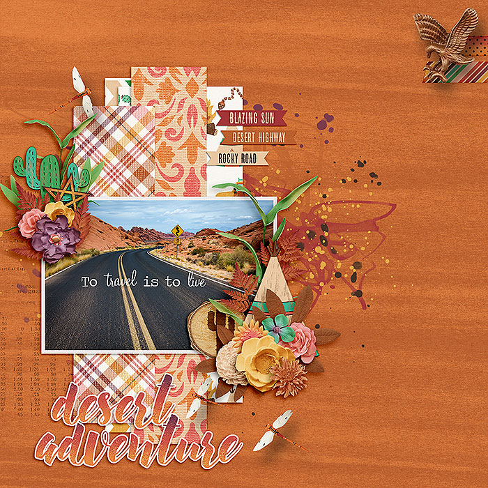 CG-DSI_OurTripInTheDesertbl