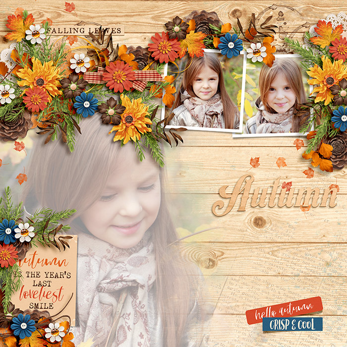 DSI-Autumn-10Sept