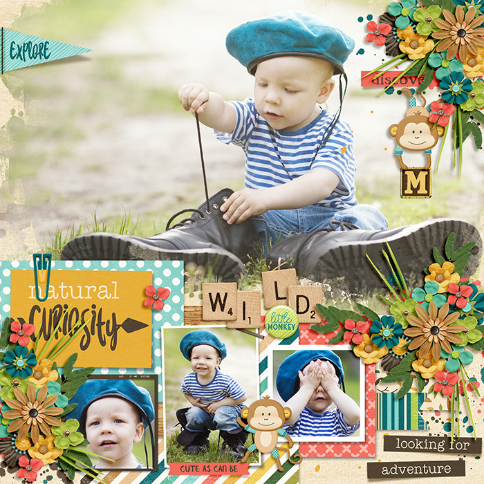 DSI-HSA-wild-little-monkey-28Jan