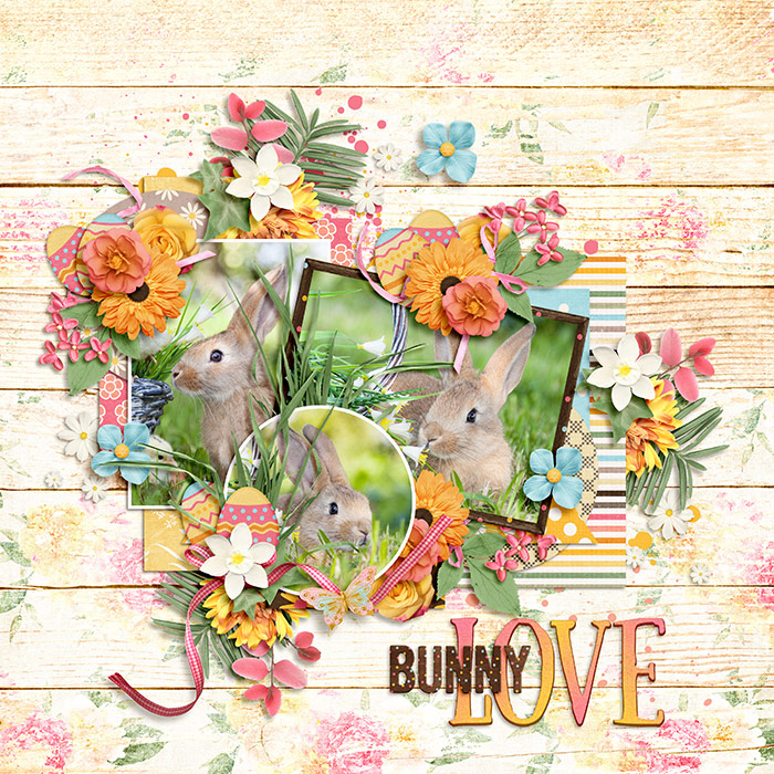 DSI-MM-Bunny-Love-8April
