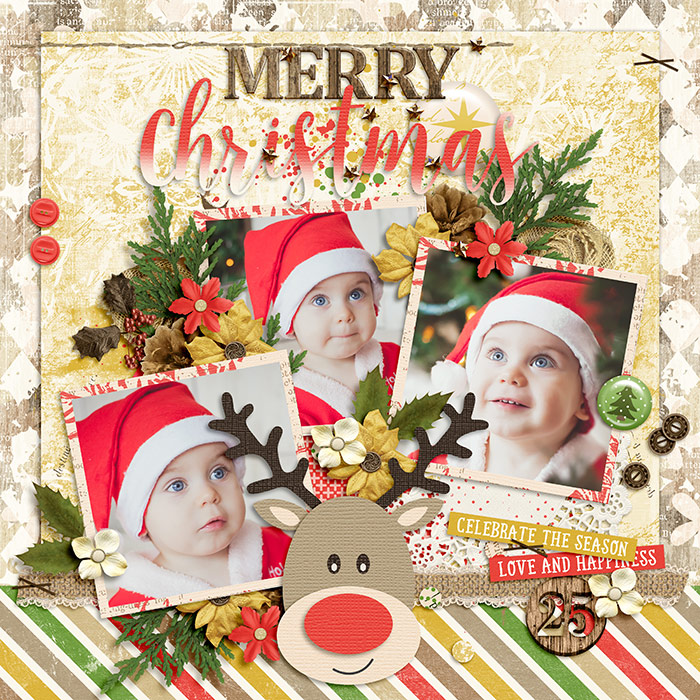 DSI-Merry-Christmas-11Nov