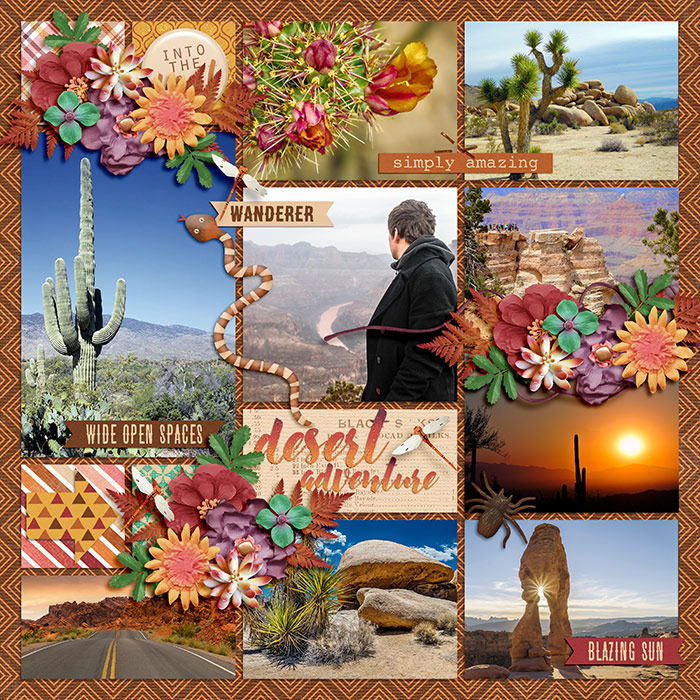 DSI-TD-desert-adventure-20May