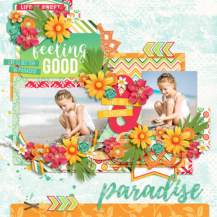 DSI-TTT-paradise