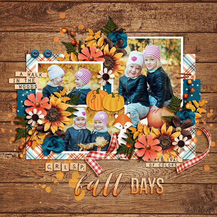 DSI-crisp-fall-days-5Oct