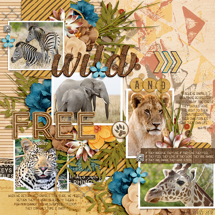 DSI-wild-and-free-9June
