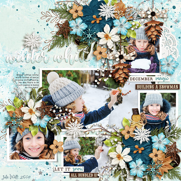 DSI-winter-white-28Nov
