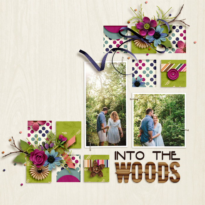 DSI_700_JJD_IntoTheWoods
