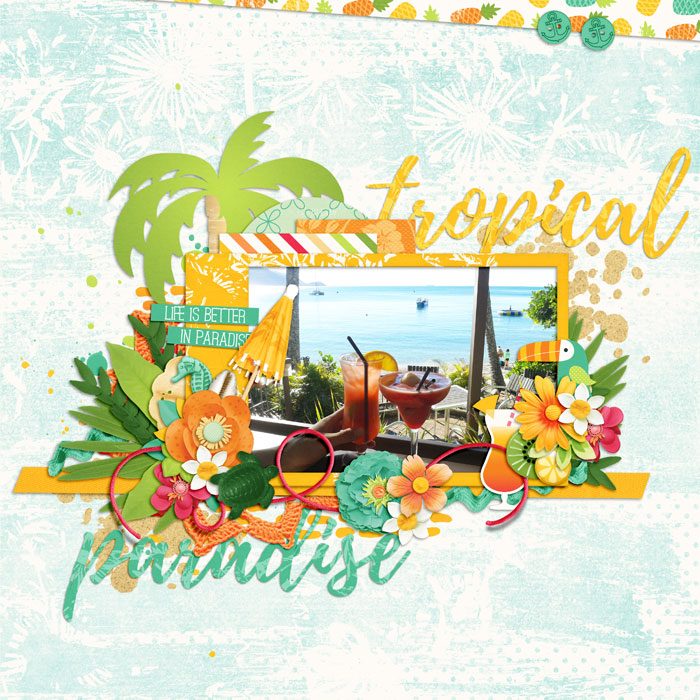 DSI_GoingTropical_layout-me