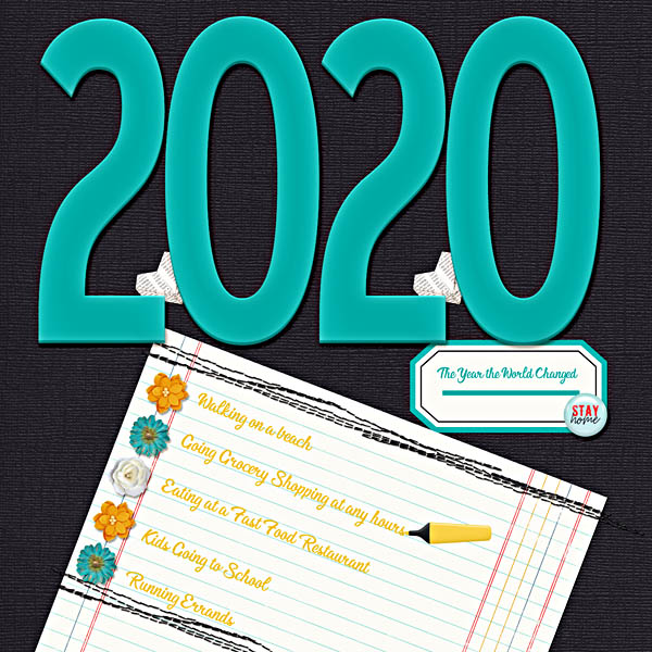 DSI_HomeActivities_2020TheYearTheWorldChanged