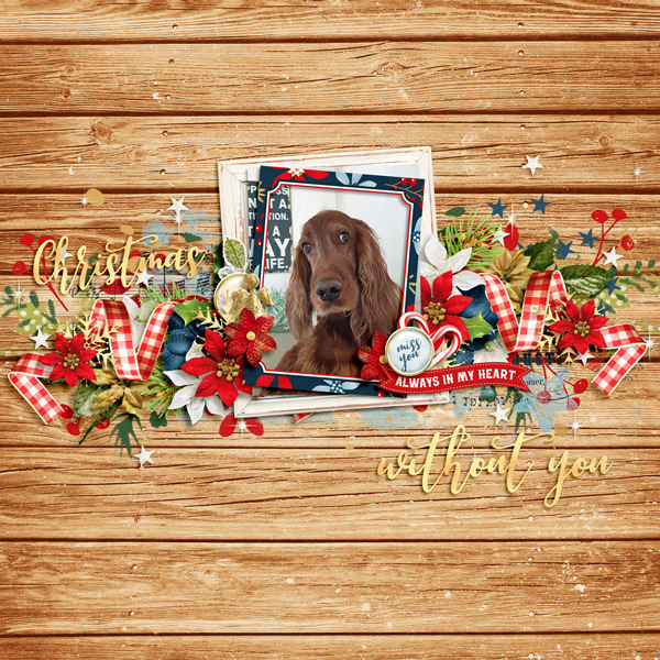 DSI_christmaswithoutyou-ck01