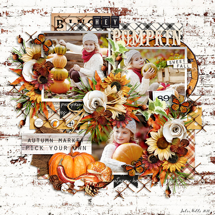 DSI_hey-pumpkin