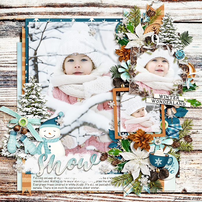 DSI_snow