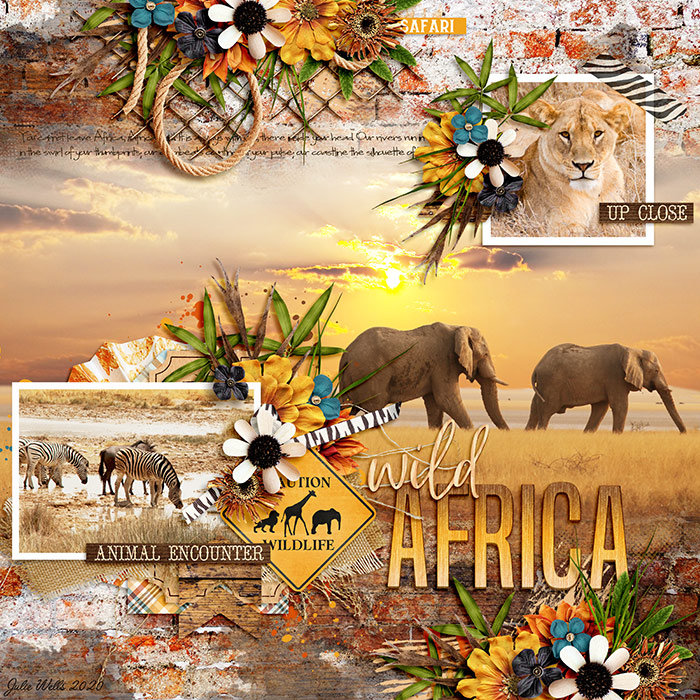 DSI_wild-Africa