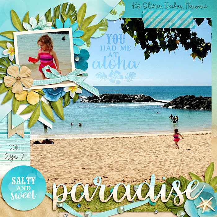 Paradise_web