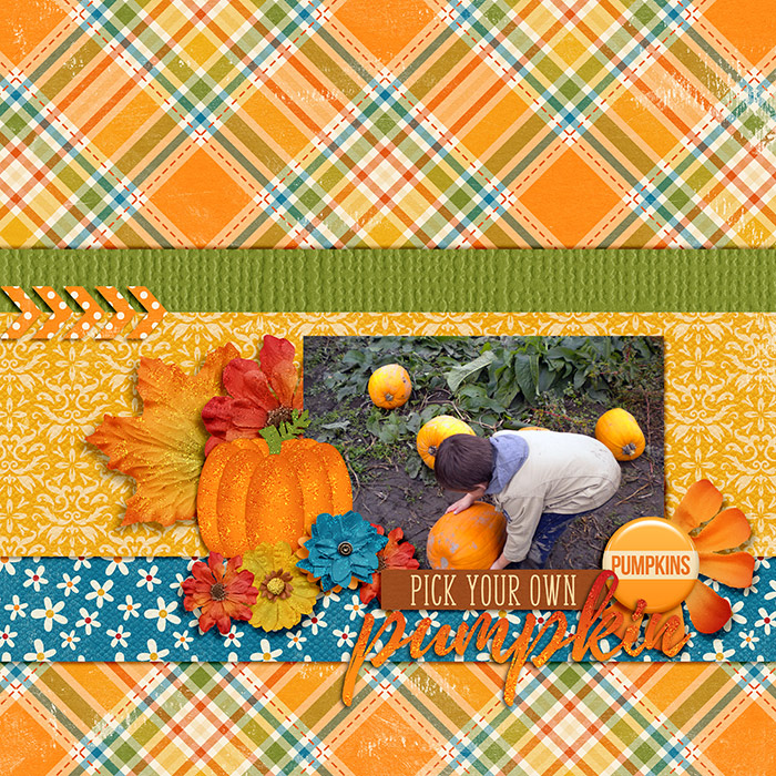 Pick-Your-Own-Pumpkin