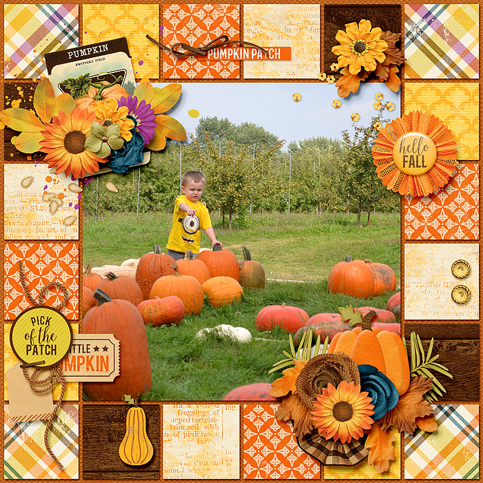 PickOfThePatch_TheBiggerPictureV4_700