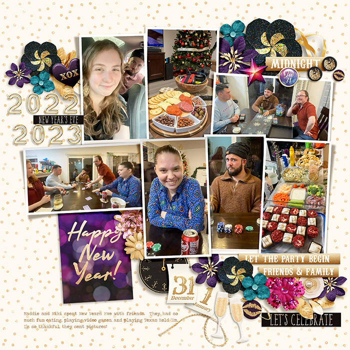 Robin_Happy-New-Year-SSD