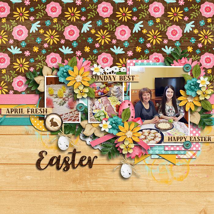 Rusticeasteromc1