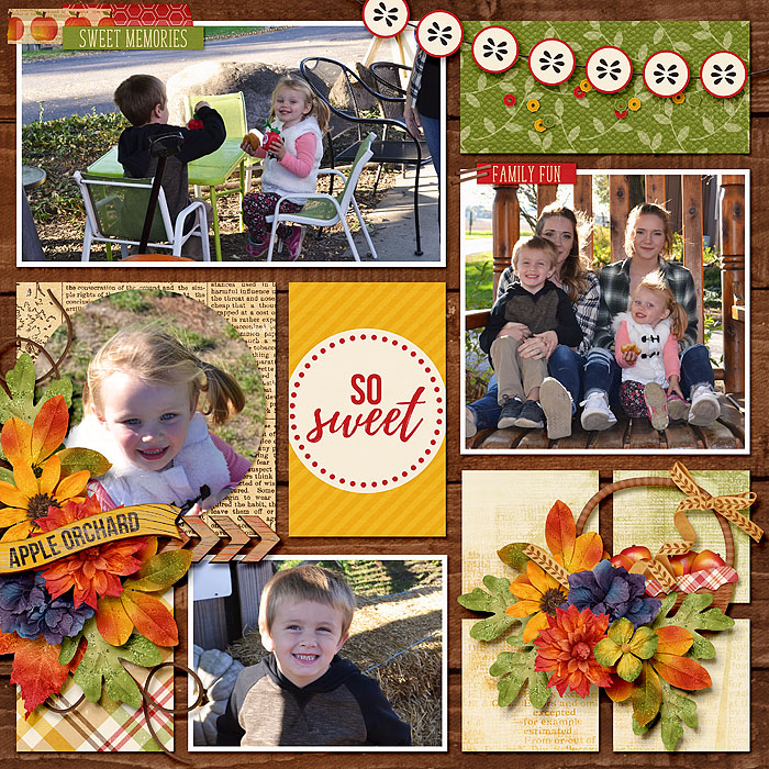 ThisAutumnAppleOrchard_PhotoFrenzyEveryday_700