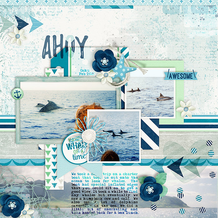 Whale-Watching2-700