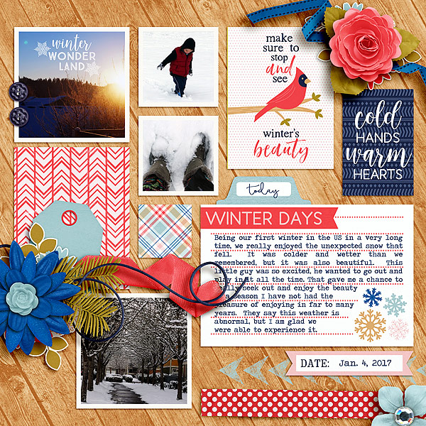 Winter-Beauty-copy