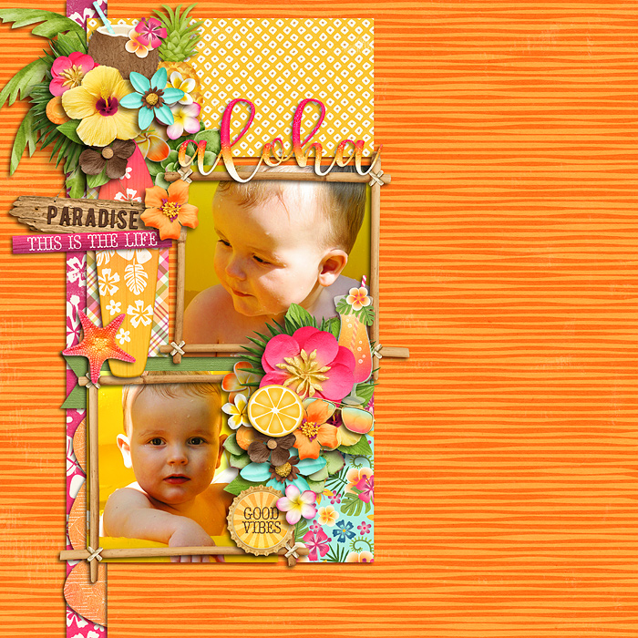 alohaF7001