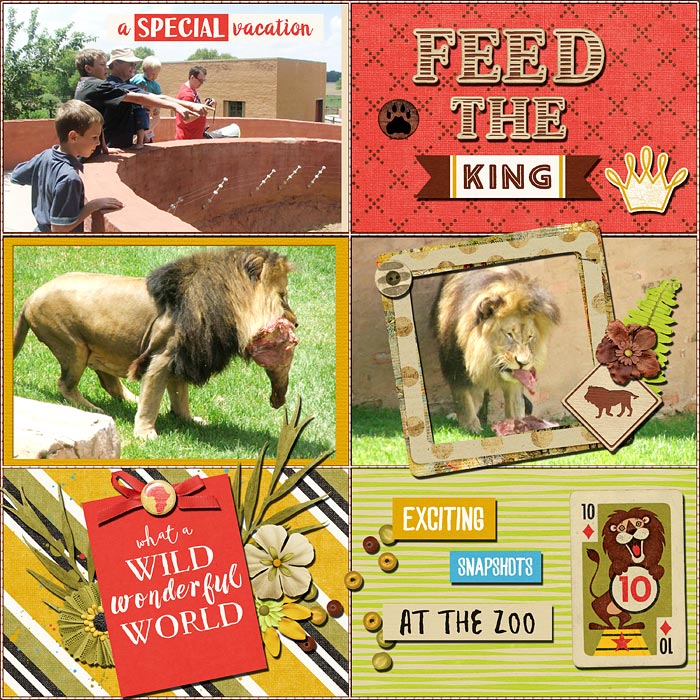 animalkingdom-tpjb700