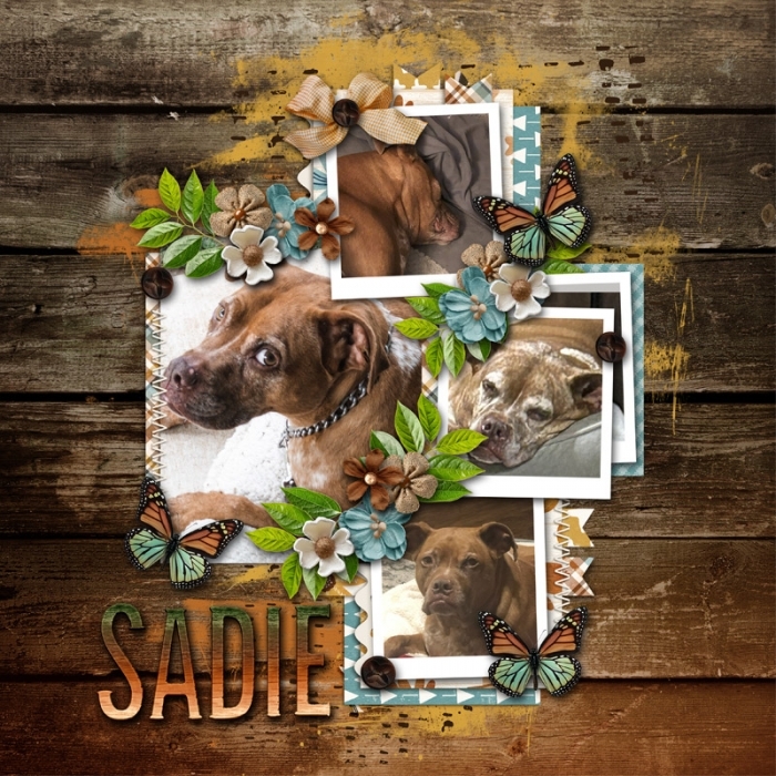 Sadie Girl