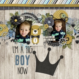 03-23-DSI-LittleMister-southernserenity_choosehope_tp-700.jpg