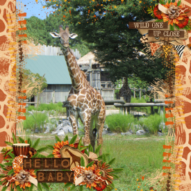 August_23-Go_Big_or_Go_Home.jpg