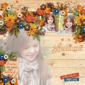 DSI-Autumn-10Sept.jpg