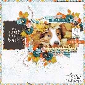 DSI-DT-beautiful-fall-1Oct.jpg