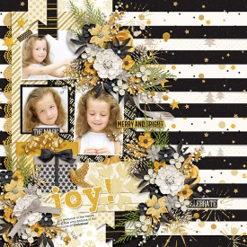 DSI-HSA-Joy-25Nov.jpg