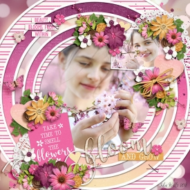 DSI-HSA-bloom-10Feb.jpg